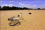 Bike at Hoge Veluwe